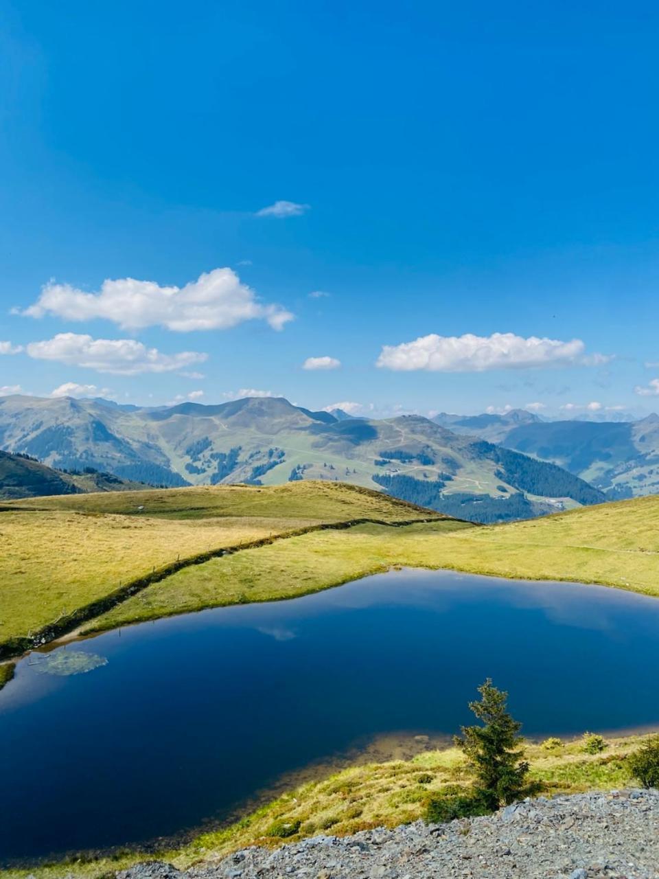 Appartement Mountain & Fun Зальбах-Хинтерглемм Экстерьер фото